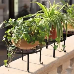 TINANA Metal Plant Stands: 5 Pack Heavy Duty Flower Pot Stands for Multiple Plant, Anti-Rust Iron Plant Pot Shelf, Decoration Racks for Home Indoor and Outdoor-Black