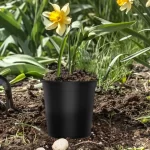 TINANA Plastic Plant Nursery Pots 15 Pack, Black 1.5 Gallon Round Nursery Pot with Drainage Holes, Flower Seedlings, Cuttings and Transplanting Seedling Pots for All Your Gardening Needs